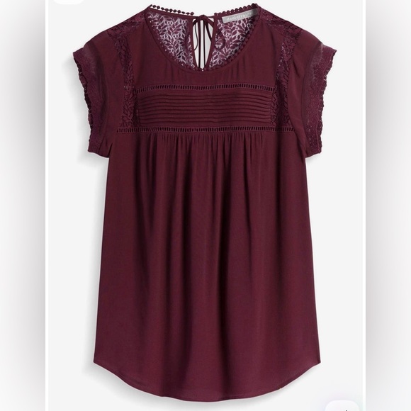 Daniel Rainn Tops - Daniel Rainn Becru Lace Detail Blouse